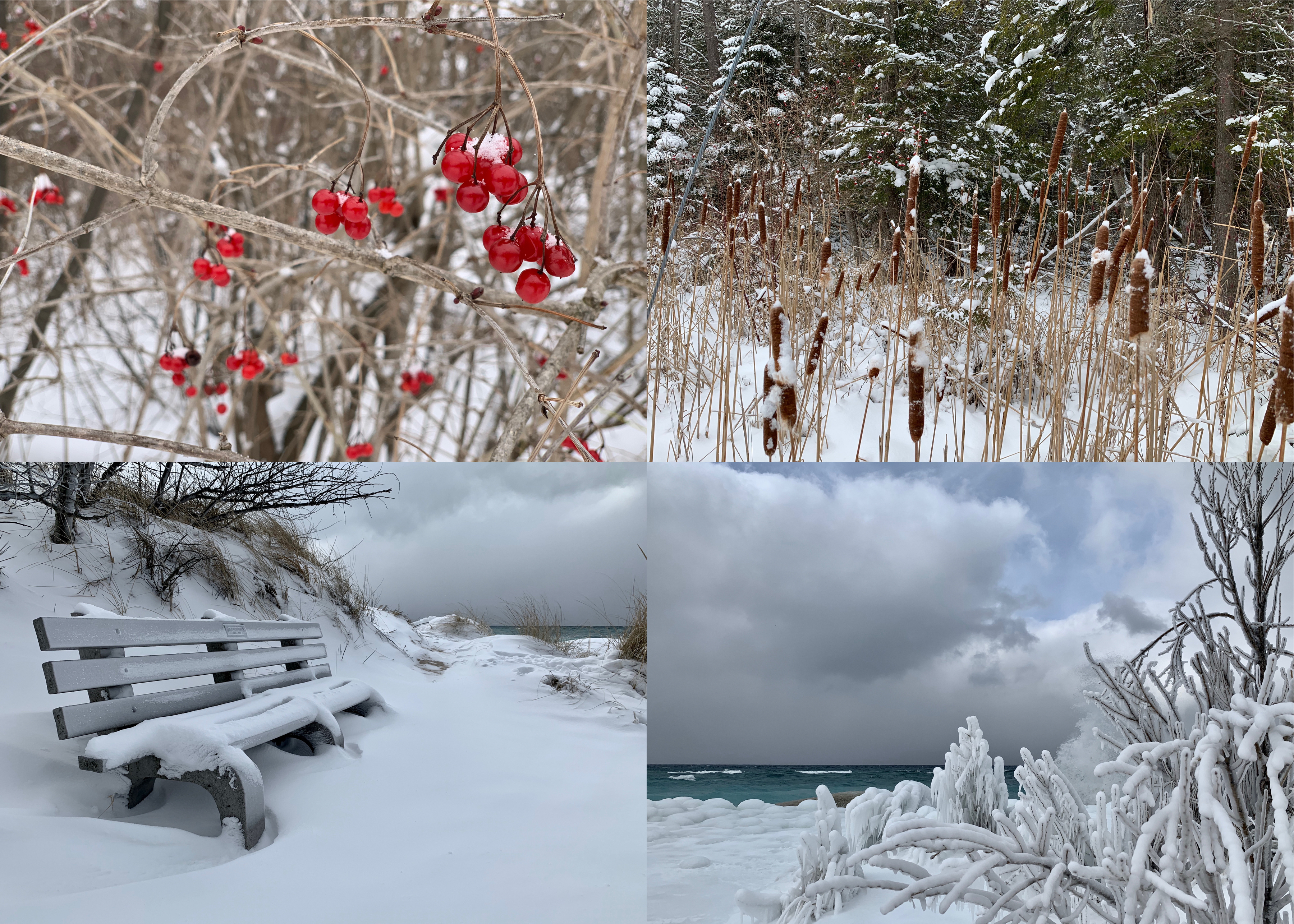 4 winter photos